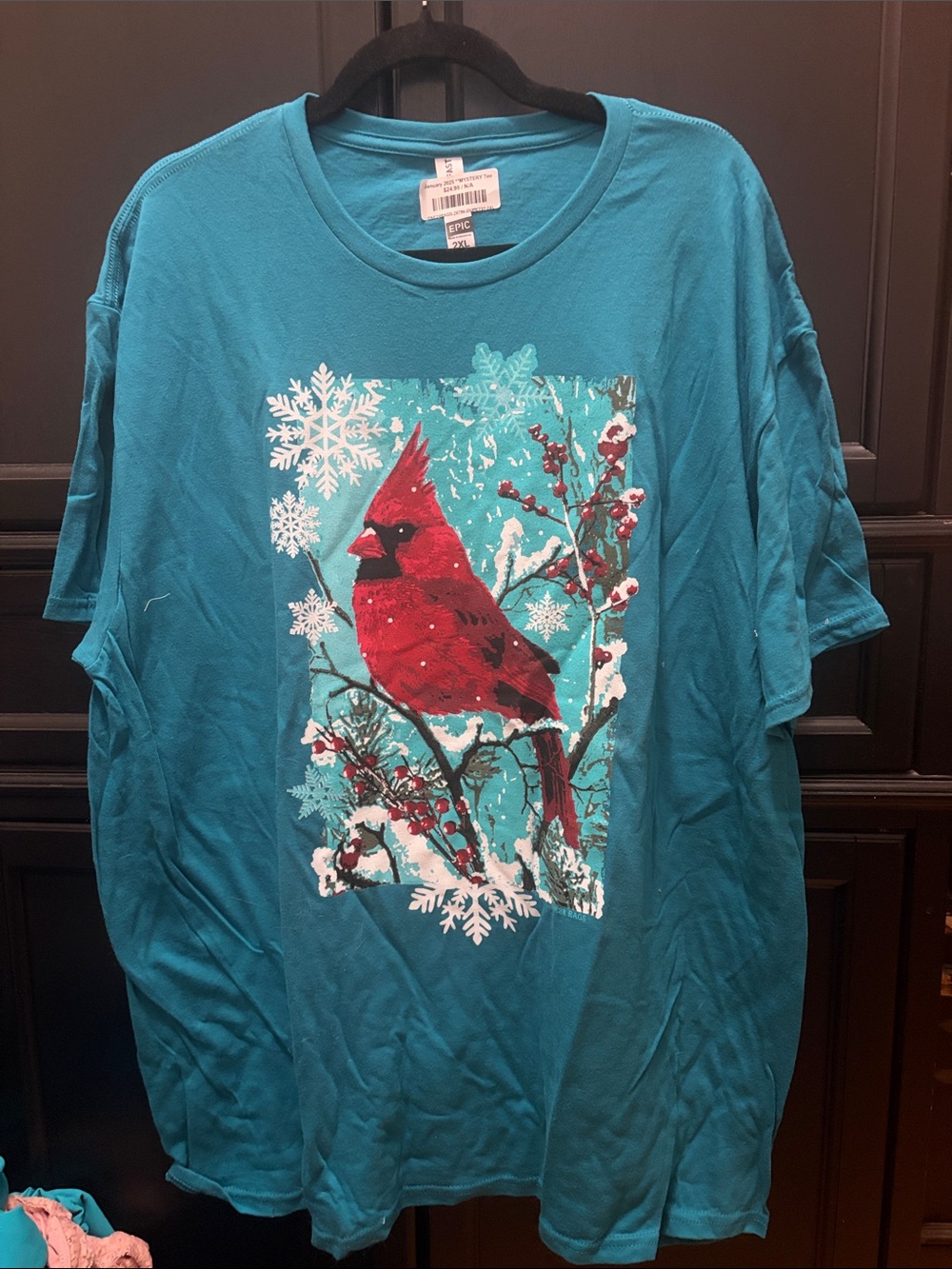 Never worn! Teal Short-Sleeve Tee with Red Cardinal Graphic. Very soft